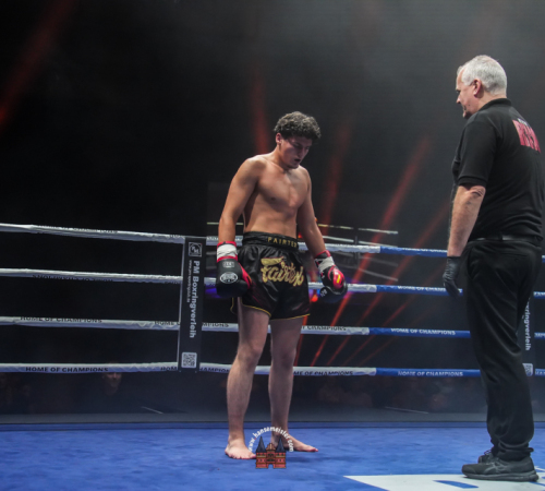 get-in-the-Ring-Kickboxen-hamburg-hansemeister.com-2025-1358