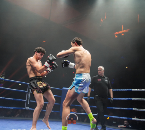 get-in-the-Ring-Kickboxen-hamburg-hansemeister.com-2025-1378