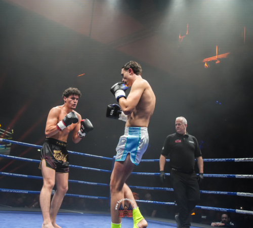 get-in-the-Ring-Kickboxen-hamburg-hansemeister.com-2025-1379