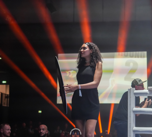 get-in-the-Ring-Kickboxen-hamburg-hansemeister.com-2025-1387