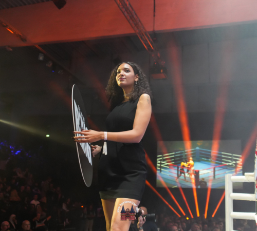 get-in-the-Ring-Kickboxen-hamburg-hansemeister.com-2025-1393