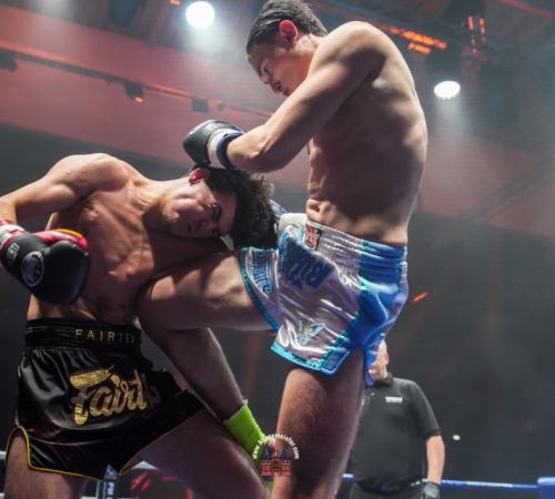 get-in-the-Ring-Kickboxen-hamburg-hansemeister.com-2025-1402