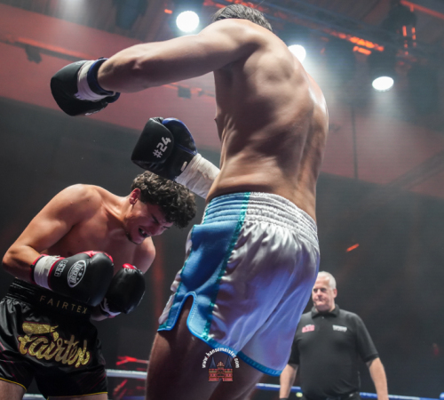 get-in-the-Ring-Kickboxen-hamburg-hansemeister.com-2025-1404