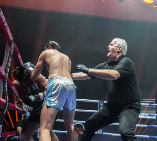 get-in-the-Ring-Kickboxen-hamburg-hansemeister.com-2025-1411