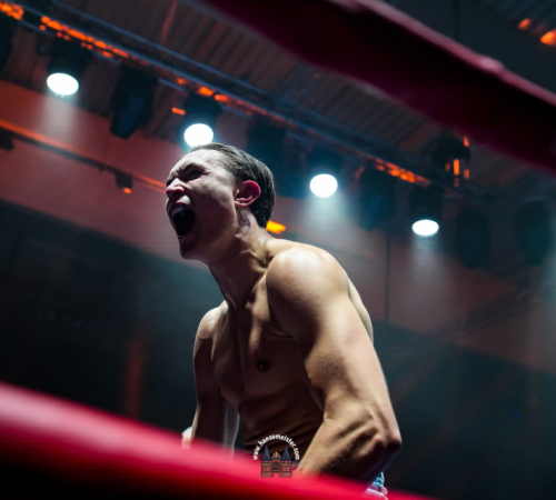 get-in-the-Ring-Kickboxen-hamburg-hansemeister.com-2025-1432