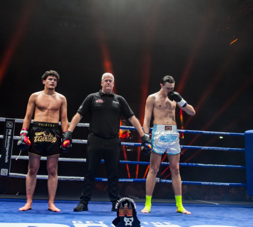 get-in-the-Ring-Kickboxen-hamburg-hansemeister.com-2025-1516