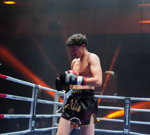 get-in-the-Ring-Kickboxen-hamburg-hansemeister.com-2025-1543