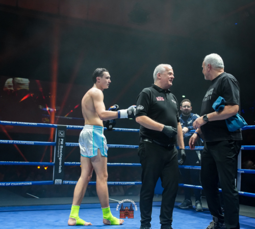 get-in-the-Ring-Kickboxen-hamburg-hansemeister.com-2025-1552