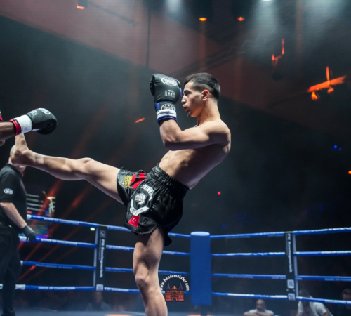 get-in-the-Ring-Kickboxen-hamburg-hansemeister.com-2025-1628