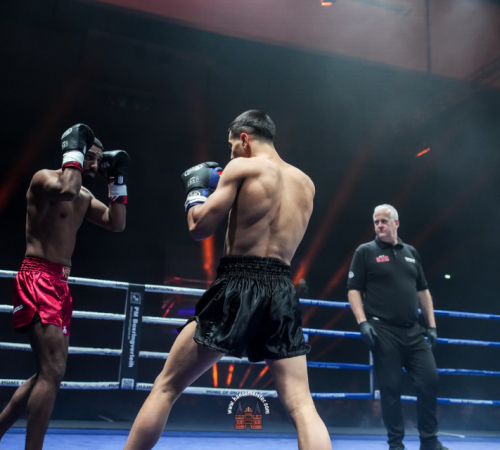 get-in-the-Ring-Kickboxen-hamburg-hansemeister.com-2025-1632