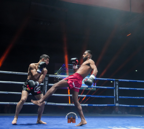 get-in-the-Ring-Kickboxen-hamburg-hansemeister.com-2025-1634