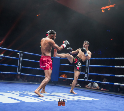 get-in-the-Ring-Kickboxen-hamburg-hansemeister.com-2025-1646