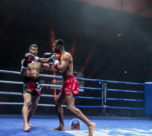 get-in-the-Ring-Kickboxen-hamburg-hansemeister.com-2025-1667