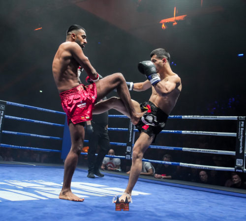 get-in-the-Ring-Kickboxen-hamburg-hansemeister.com-2025-1687