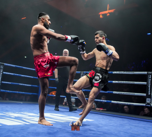 get-in-the-Ring-Kickboxen-hamburg-hansemeister.com-2025-1688