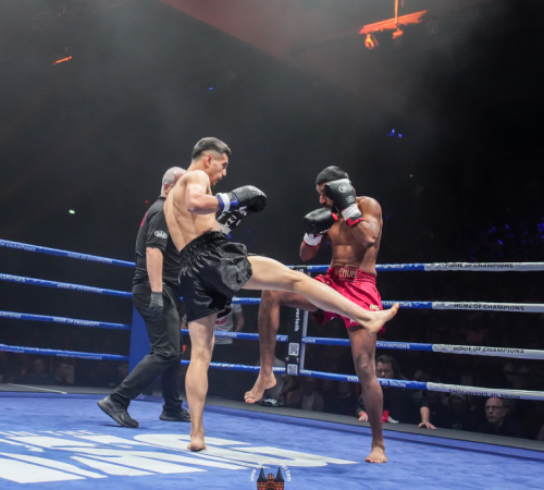 get-in-the-Ring-Kickboxen-hamburg-hansemeister.com-2025-1728