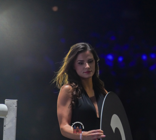 get-in-the-Ring-Kickboxen-hamburg-hansemeister.com-2025-1737