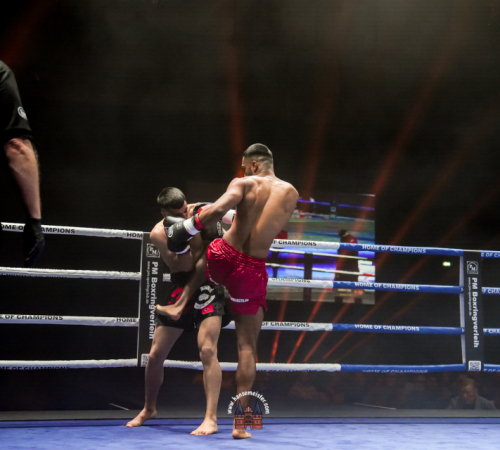 get-in-the-Ring-Kickboxen-hamburg-hansemeister.com-2025-1751