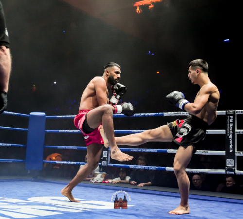get-in-the-Ring-Kickboxen-hamburg-hansemeister.com-2025-1775