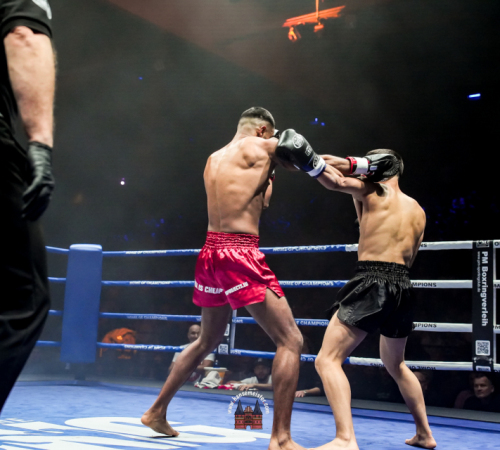 get-in-the-Ring-Kickboxen-hamburg-hansemeister.com-2025-1779