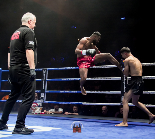 get-in-the-Ring-Kickboxen-hamburg-hansemeister.com-2025-1813