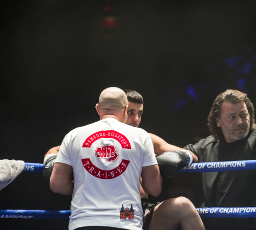 get-in-the-Ring-Kickboxen-hamburg-hansemeister.com-2025-1818