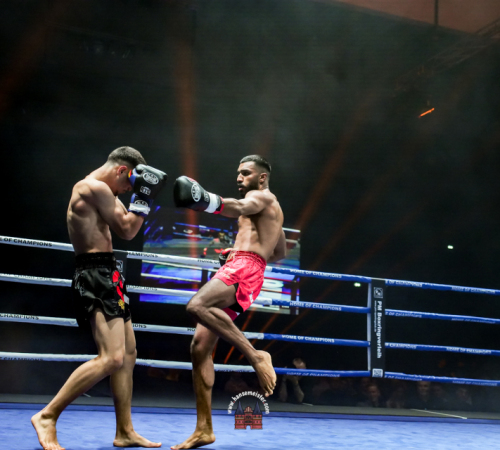 get-in-the-Ring-Kickboxen-hamburg-hansemeister.com-2025-1829