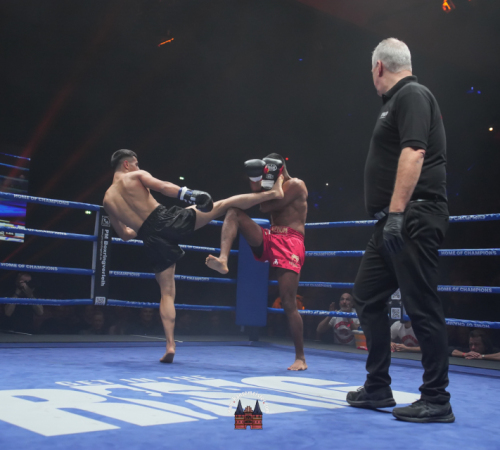 get-in-the-Ring-Kickboxen-hamburg-hansemeister.com-2025-1848
