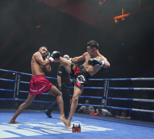 get-in-the-Ring-Kickboxen-hamburg-hansemeister.com-2025-1853