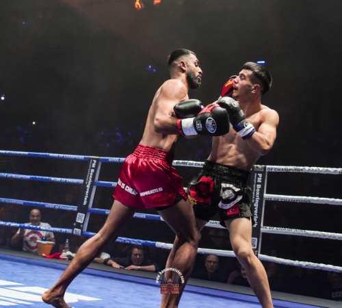 get-in-the-Ring-Kickboxen-hamburg-hansemeister.com-2025-1907