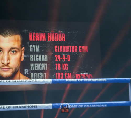 get-in-the-Ring-Kickboxen-hamburg-hansemeister.com-2025-1977