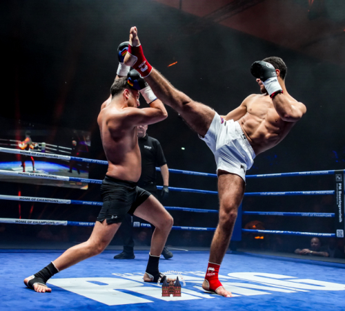 get-in-the-Ring-Kickboxen-hamburg-hansemeister.com-2025-2008