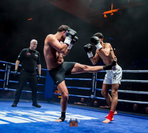 get-in-the-Ring-Kickboxen-hamburg-hansemeister.com-2025-2015