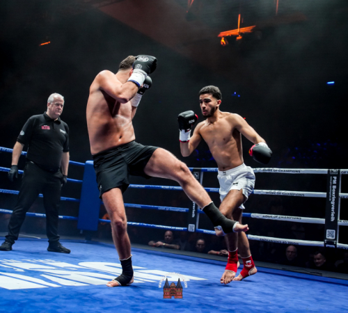 get-in-the-Ring-Kickboxen-hamburg-hansemeister.com-2025-2016