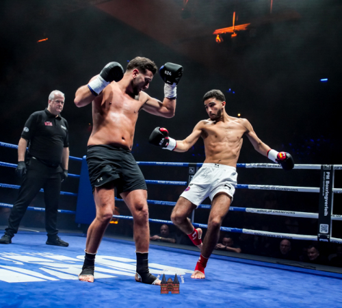 get-in-the-Ring-Kickboxen-hamburg-hansemeister.com-2025-2017