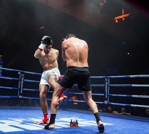 get-in-the-Ring-Kickboxen-hamburg-hansemeister.com-2025-2110