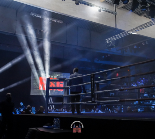 get-in-the-Ring-Kickboxen-hamburg-hansemeister.com-2025-214