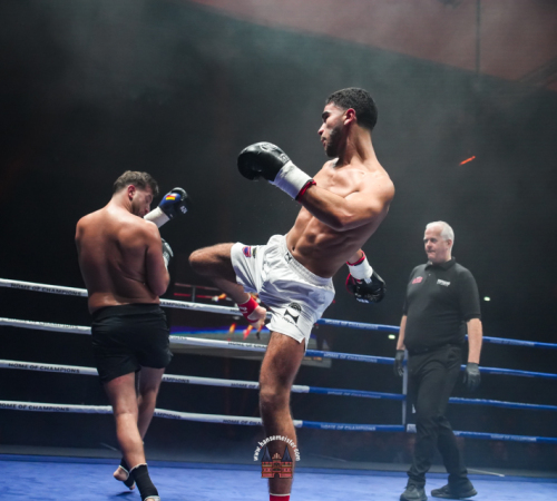 get-in-the-Ring-Kickboxen-hamburg-hansemeister.com-2025-2155