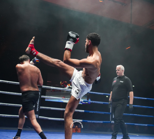 get-in-the-Ring-Kickboxen-hamburg-hansemeister.com-2025-2156