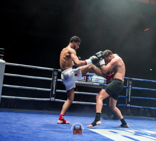 get-in-the-Ring-Kickboxen-hamburg-hansemeister.com-2025-2166