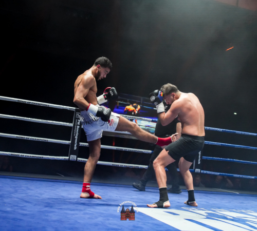 get-in-the-Ring-Kickboxen-hamburg-hansemeister.com-2025-2167