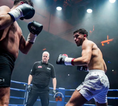 get-in-the-Ring-Kickboxen-hamburg-hansemeister.com-2025-2226