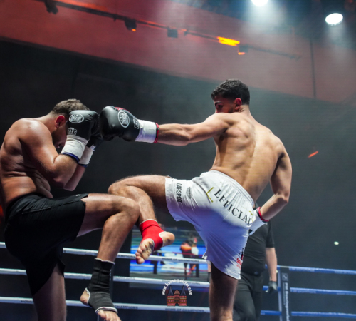 get-in-the-Ring-Kickboxen-hamburg-hansemeister.com-2025-2243