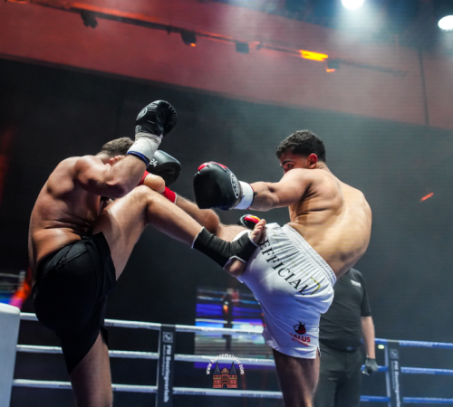 get-in-the-Ring-Kickboxen-hamburg-hansemeister.com-2025-2244