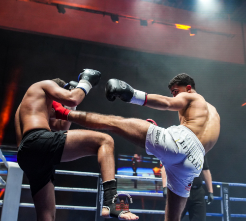 get-in-the-Ring-Kickboxen-hamburg-hansemeister.com-2025-2245