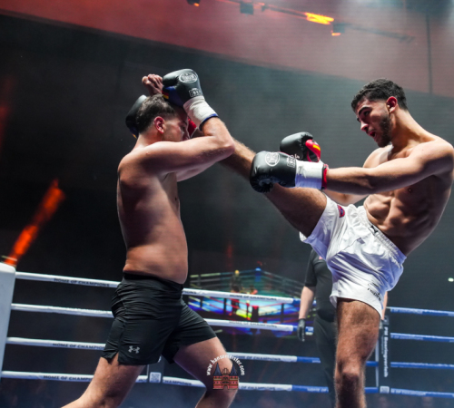 get-in-the-Ring-Kickboxen-hamburg-hansemeister.com-2025-2251