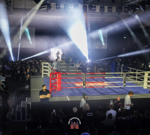 get-in-the-Ring-Kickboxen-hamburg-hansemeister.com-2025-236