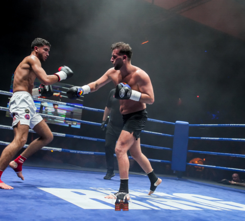 get-in-the-Ring-Kickboxen-hamburg-hansemeister.com-2025-2367