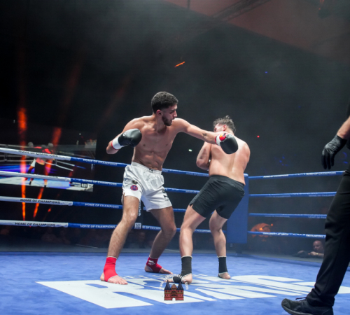 get-in-the-Ring-Kickboxen-hamburg-hansemeister.com-2025-2418