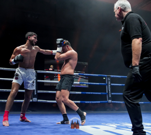 get-in-the-Ring-Kickboxen-hamburg-hansemeister.com-2025-2420